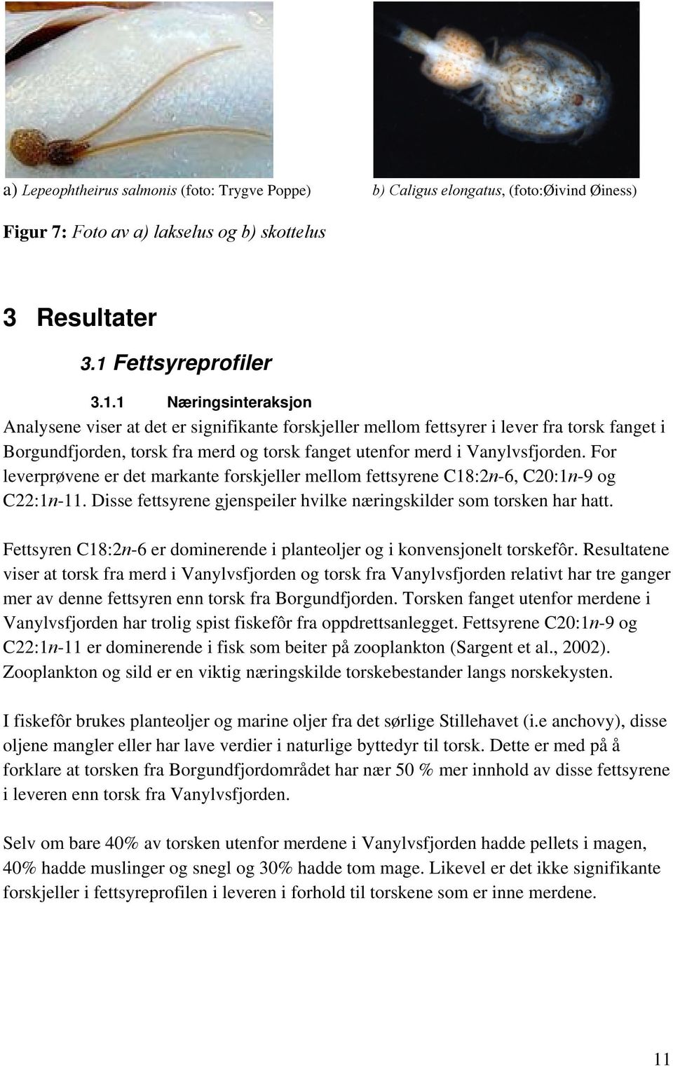 1 Næringsinteraksjon Analysene viser at det er signifikante forskjeller mellom fettsyrer i lever fra torsk fanget i Borgundfjorden, torsk fra merd og torsk fanget utenfor merd i Vanylvsfjorden.