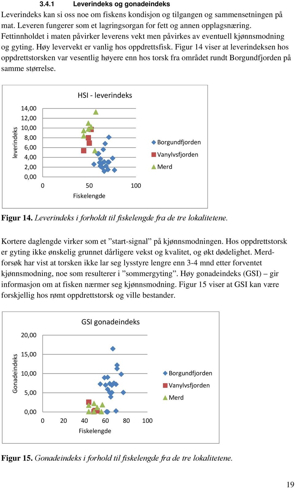 Figur 14 viser at leverindeksen hos oppdrettstorsken var vesentlig høyere enn hos torsk fra området rundt Borgundfjorden på samme størrelse.
