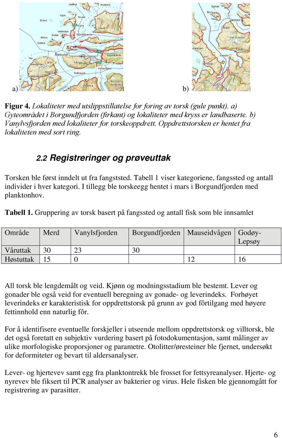 Tabell 1 viser kategoriene, fangssted og antall individer i hver kategori. I tillegg ble torskeegg hentet i mars i Borgundfjorden med planktonhov. Tabell 1.