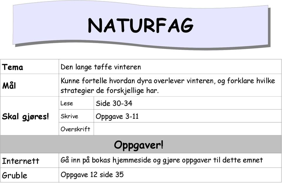 hvilke strategier de forskjellige har.