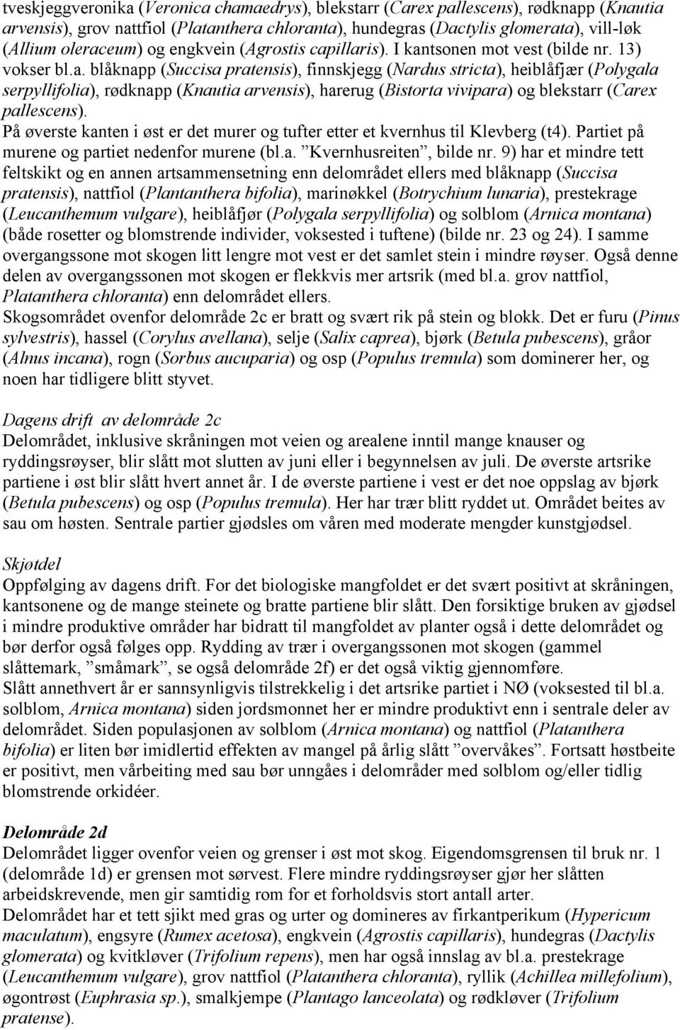 illaris). I kantsonen mot vest (bilde nr. 13) vokser bl.a. blåknapp (Succisa pratensis), finnskjegg (Nardus stricta), heiblåfjær (Polygala serpyllifolia), rødknapp (Knautia arvensis), harerug (Bistorta vivipara) og blekstarr (Carex pallescens).