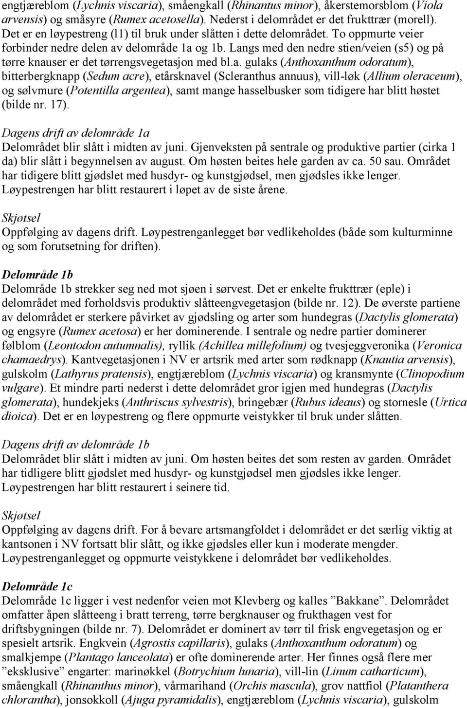 Langs med den nedre stien/veien (s5) og på tørre knauser er det tørrengsvegetasjon med bl.a. gulaks (Anthoxanthum odoratum), bitterbergknapp (Sedum acre), etårsknavel (Scleranthus annuus), vill-løk