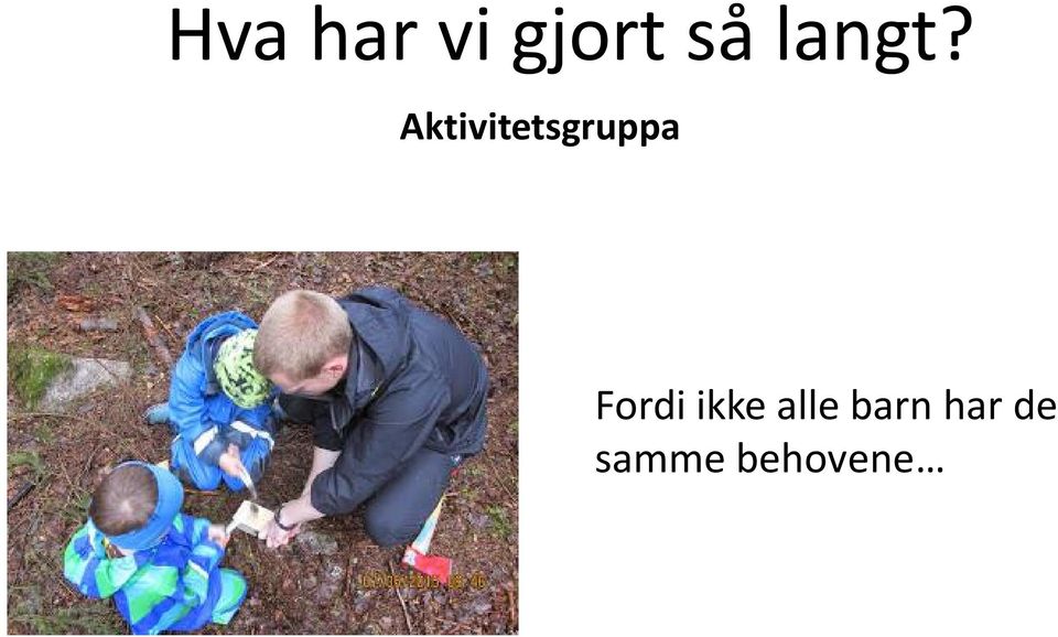 Aktivitetsgruppa