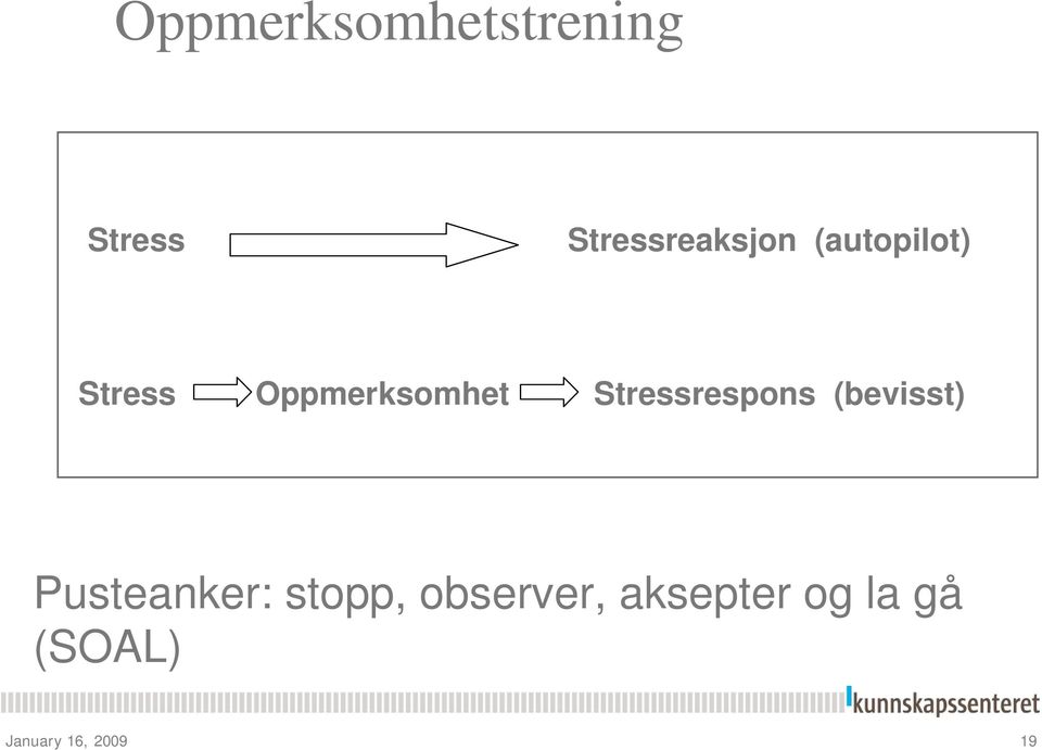 Stressrespons (bevisst) Pusteanker: stopp,