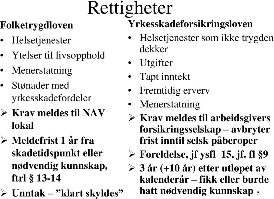 som ikke trygden dekker Utgifter Tapt inntekt Fremtidig erverv Menerstatning Krav meldes til arbeidsgivers forsikringsselskap avbryter