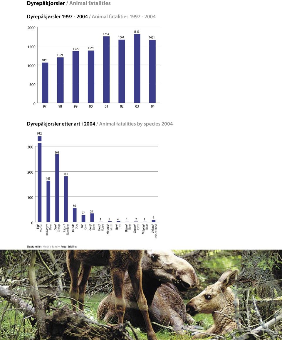 Dyrepåkjørsler etter art i 2004 / Animal