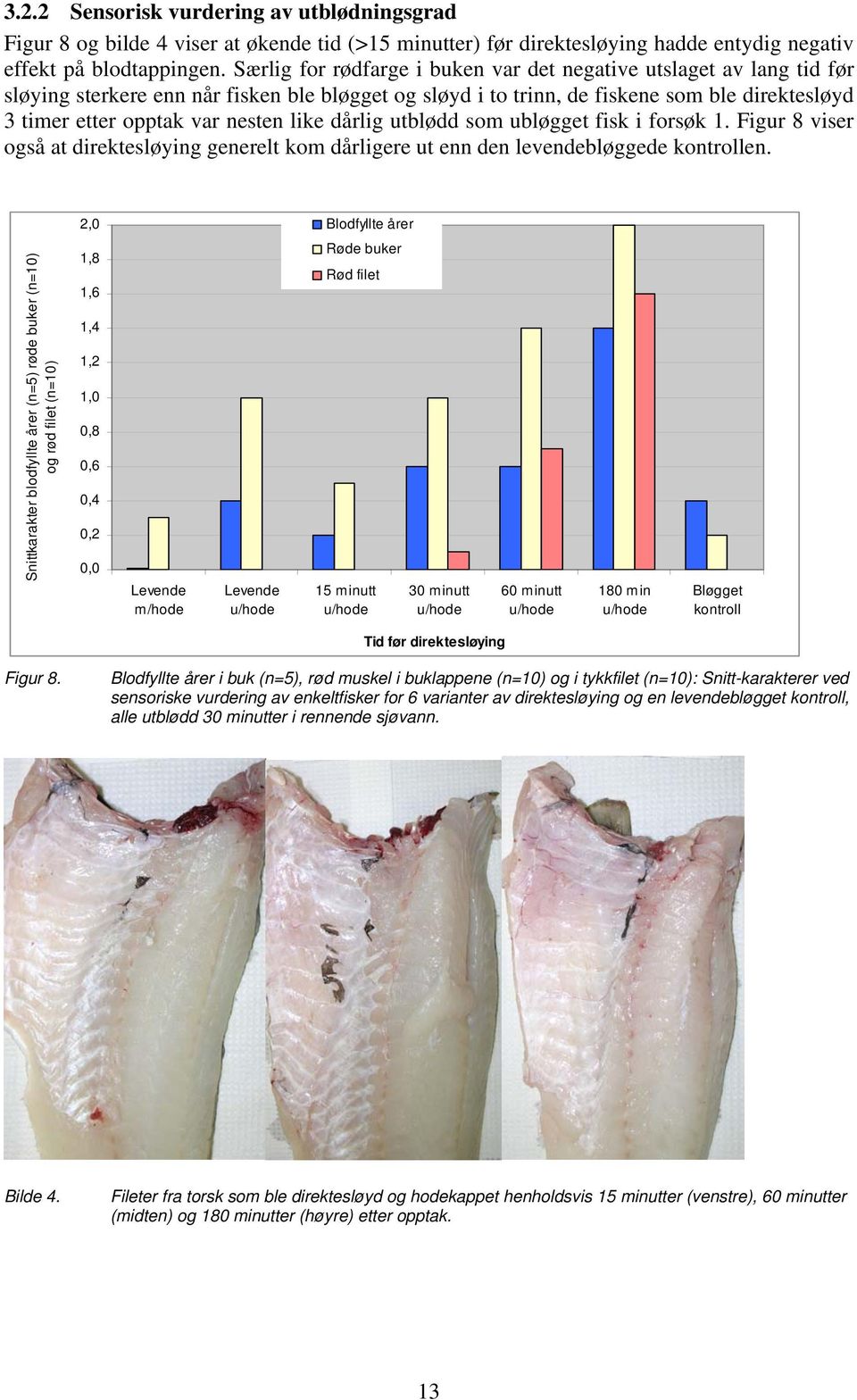 like dårlig utblødd som ubløgget fisk i forsøk 1. Figur 8 viser også at direktesløying generelt kom dårligere ut enn den levendebløggede kontrollen.