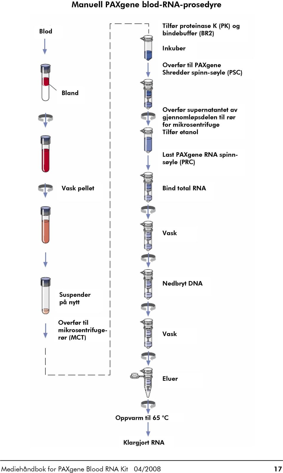 etanol Last PAXgene RNA spinnsøyle (PRC) Vask pellet Bind total RNA Vask Suspender på nytt Nedbryt DNA Overfør