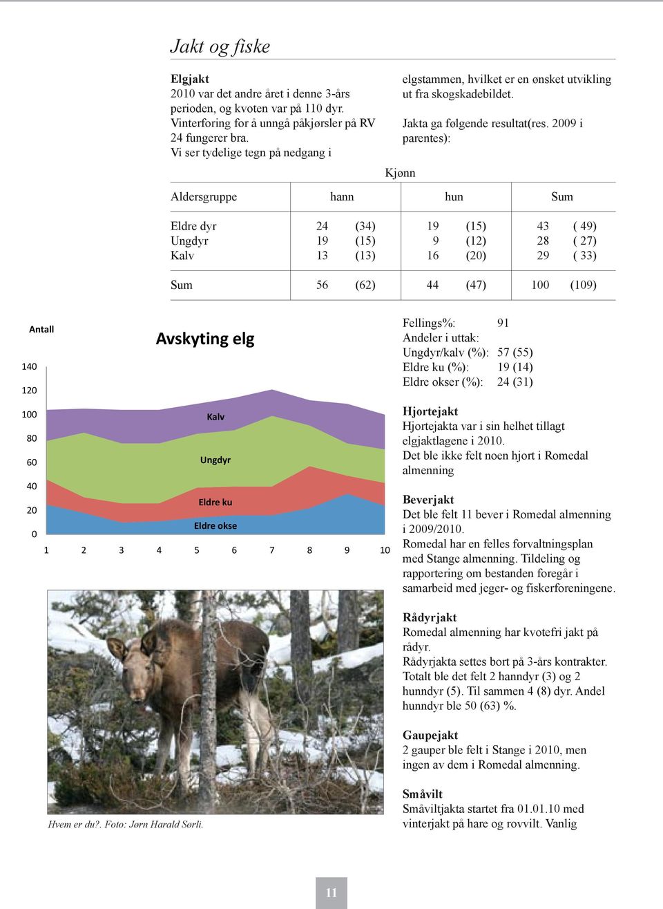 2009 i parentes): Aldersgruppe hann hun Sum Eldre dyr 24 (34) 19 (15) 43 ( 49) Ungdyr 19 (15) 9 (12) 28 ( 27) Kalv 13 (13) 16 (20) 29 ( 33) Sum 56 (62) 44 (47) 100 (109) Antall Avskyting elg 140 120
