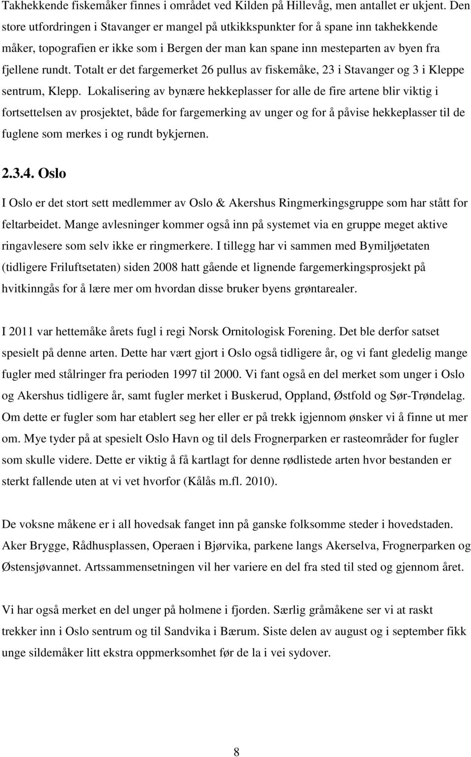 Totalt er det fargemerket 26 pullus av fiskemåke, 23 i Stavanger og 3 i Kleppe sentrum, Klepp.