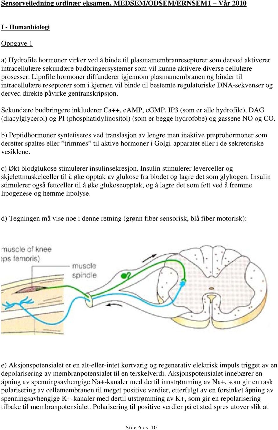 Lipofile hormoner diffunderer igjennom plasmamembranen og binder til intracellulære reseptorer som i kjernen vil binde til bestemte regulatoriske DNA-sekvenser og derved direkte påvirke