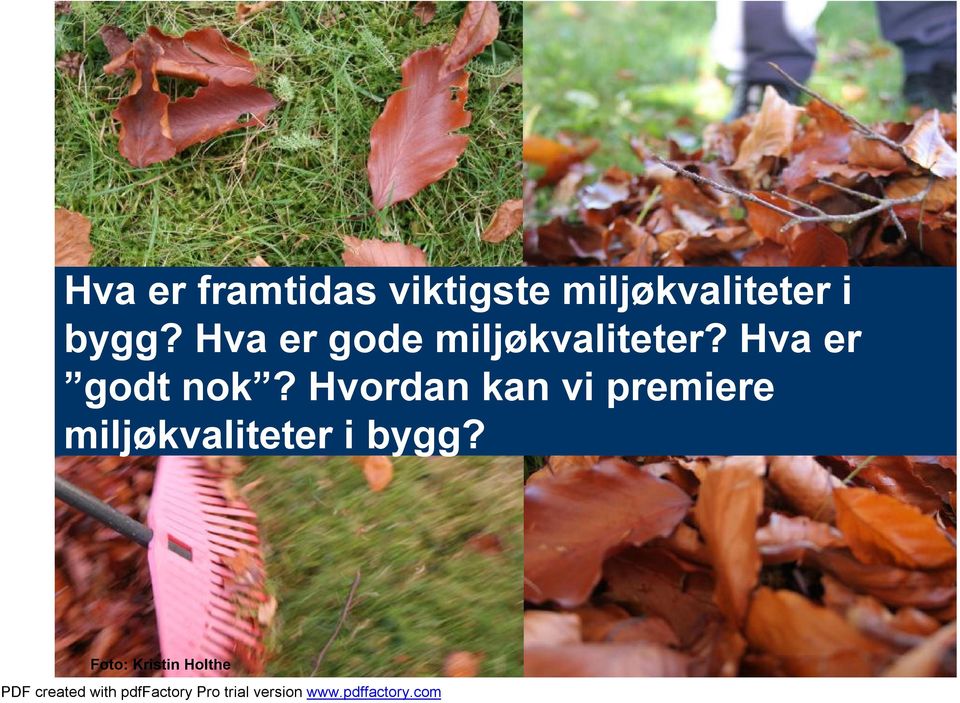 Hva er gode miljøkvaliteter?