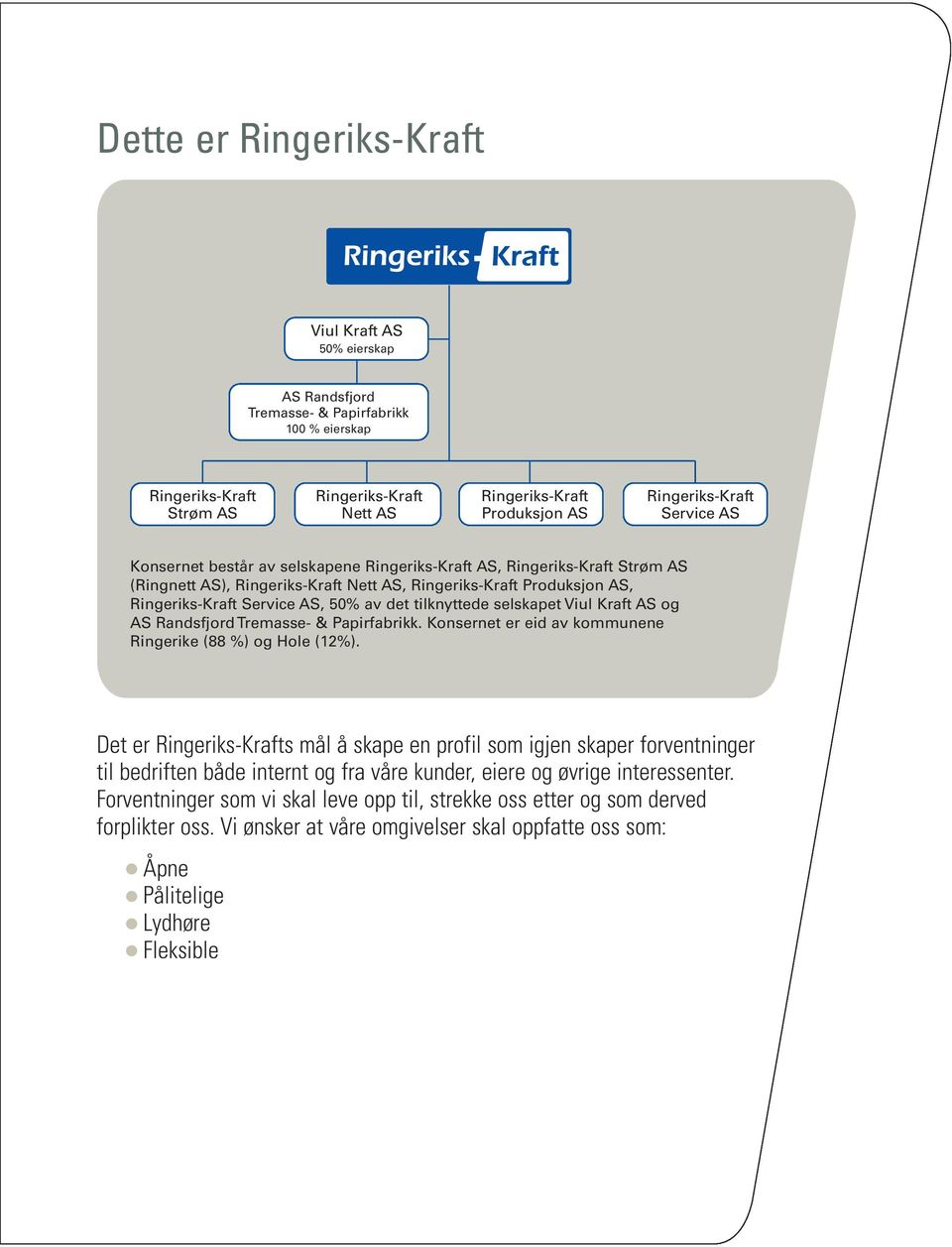 AS, 50% av det tilknyttede selskapet Viul Kraft AS og AS Randsfjord Tremasse- & Papirfabrikk. Konsernet er eid av kommunene Ringerike (88 %) og Hole (12%).