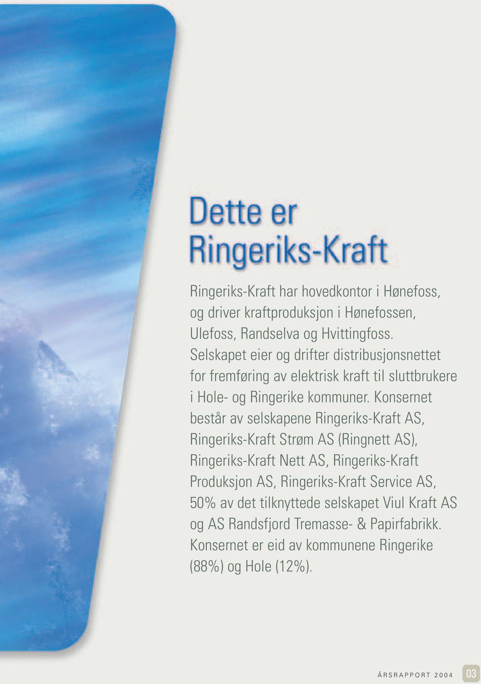 Konsernet består av selskapene Ringeriks-Kraft AS, Ringeriks-Kraft Strøm AS (Ringnett AS), Ringeriks-Kraft Nett AS, Ringeriks-Kraft Produksjon AS,