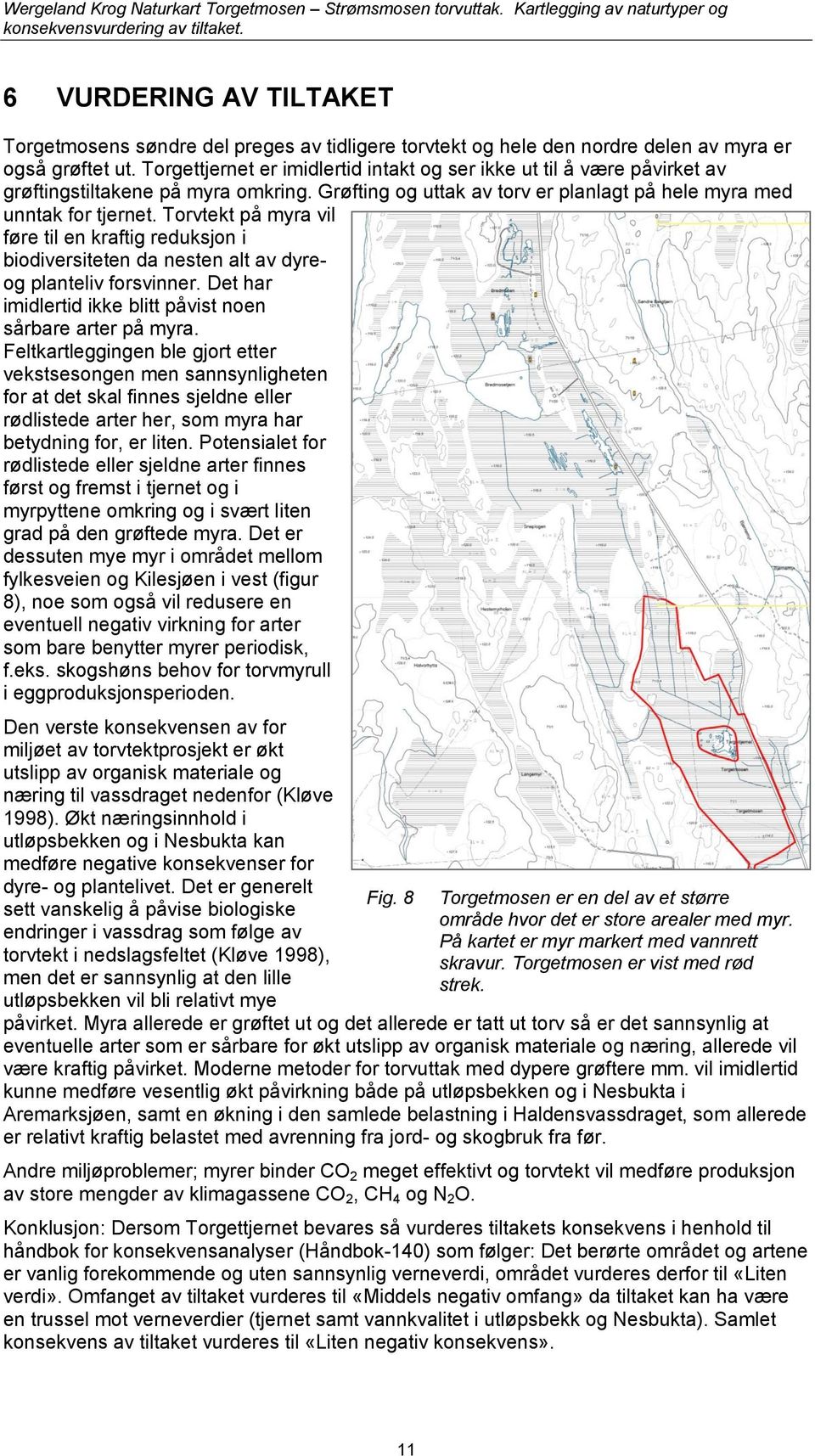 Torvtekt på myra vil føre til en kraftig reduksjon i biodiversiteten da nesten alt av dyreog planteliv forsvinner. Det har imidlertid ikke blitt påvist noen sårbare arter på myra.