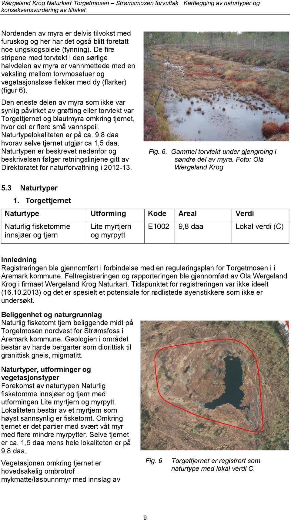 Den eneste delen av myra som ikke var synlig påvirket av grøfting eller torvtekt var Torgettjernet og blautmyra omkring tjernet, hvor det er flere små vannspeil. Naturtypelokaliteten er på ca.