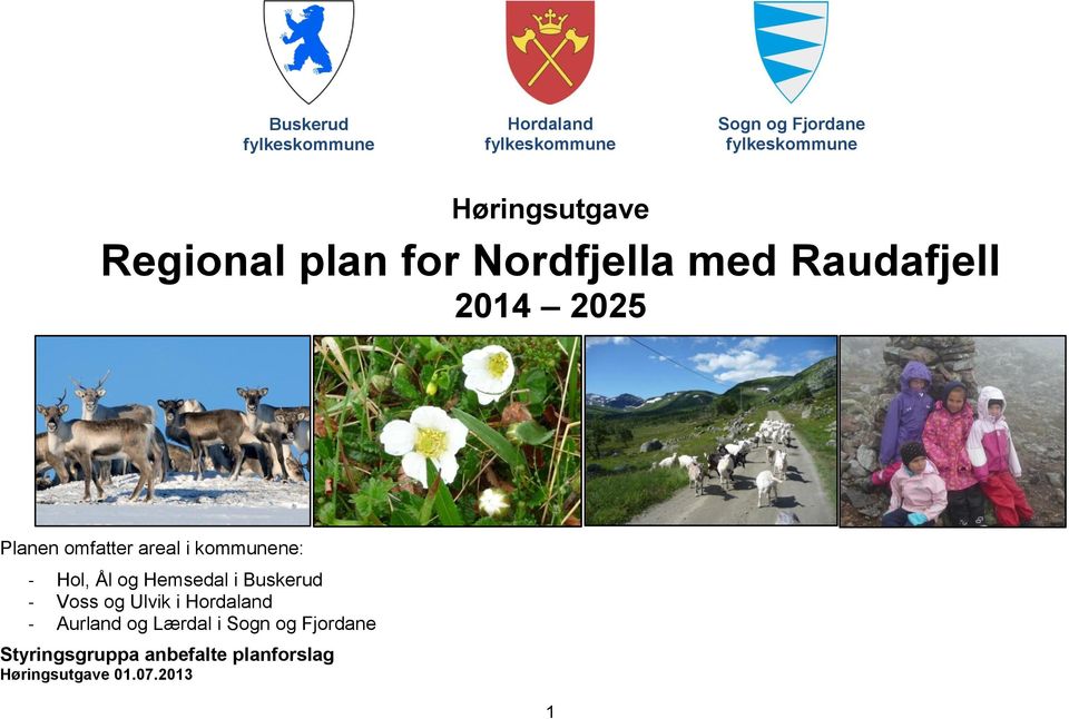 areal i kommunene: - Hol, Ål og Hemsedal i Buskerud - Voss og Ulvik i Hordaland -