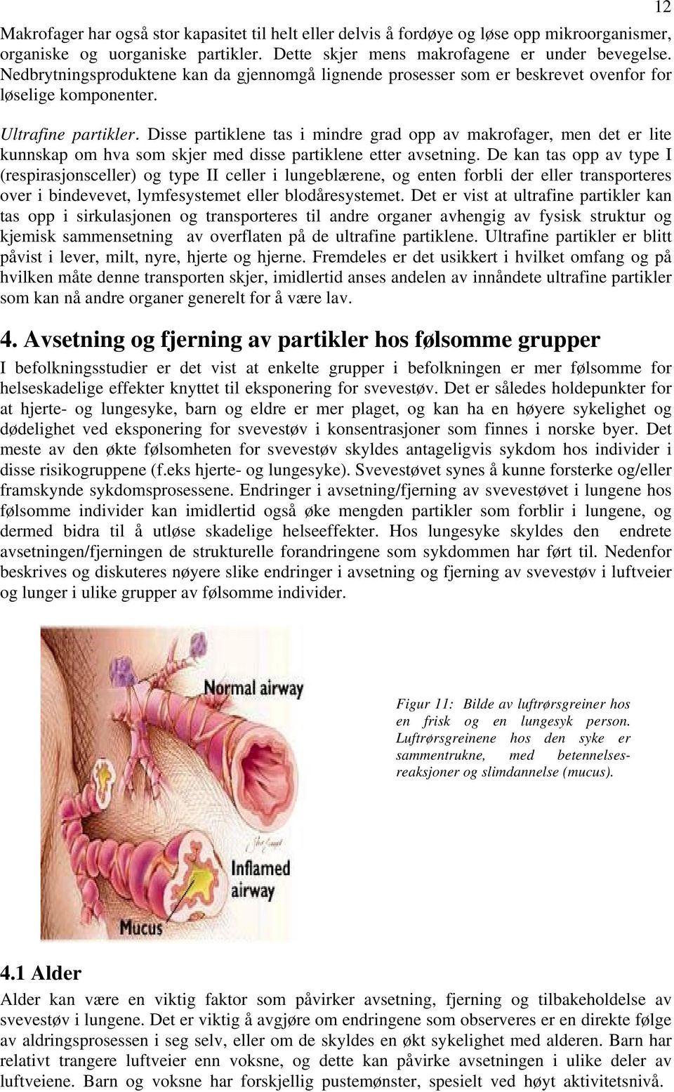 Disse partiklene tas i mindre grad opp av makrofager, men det er lite kunnskap om hva som skjer med disse partiklene etter avsetning.