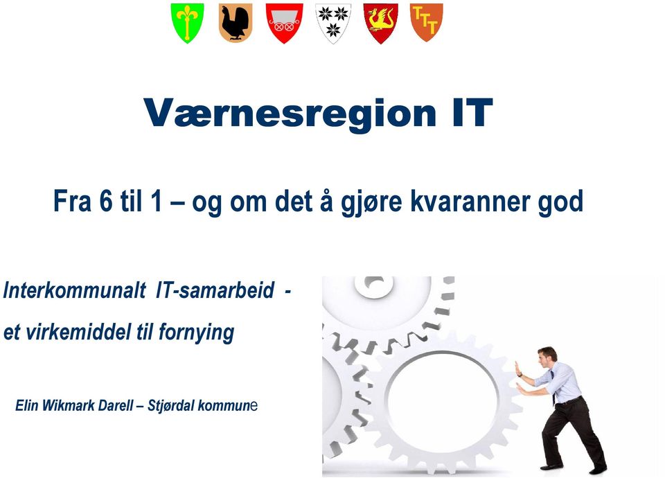 IT-samarbeid - et virkemiddel til