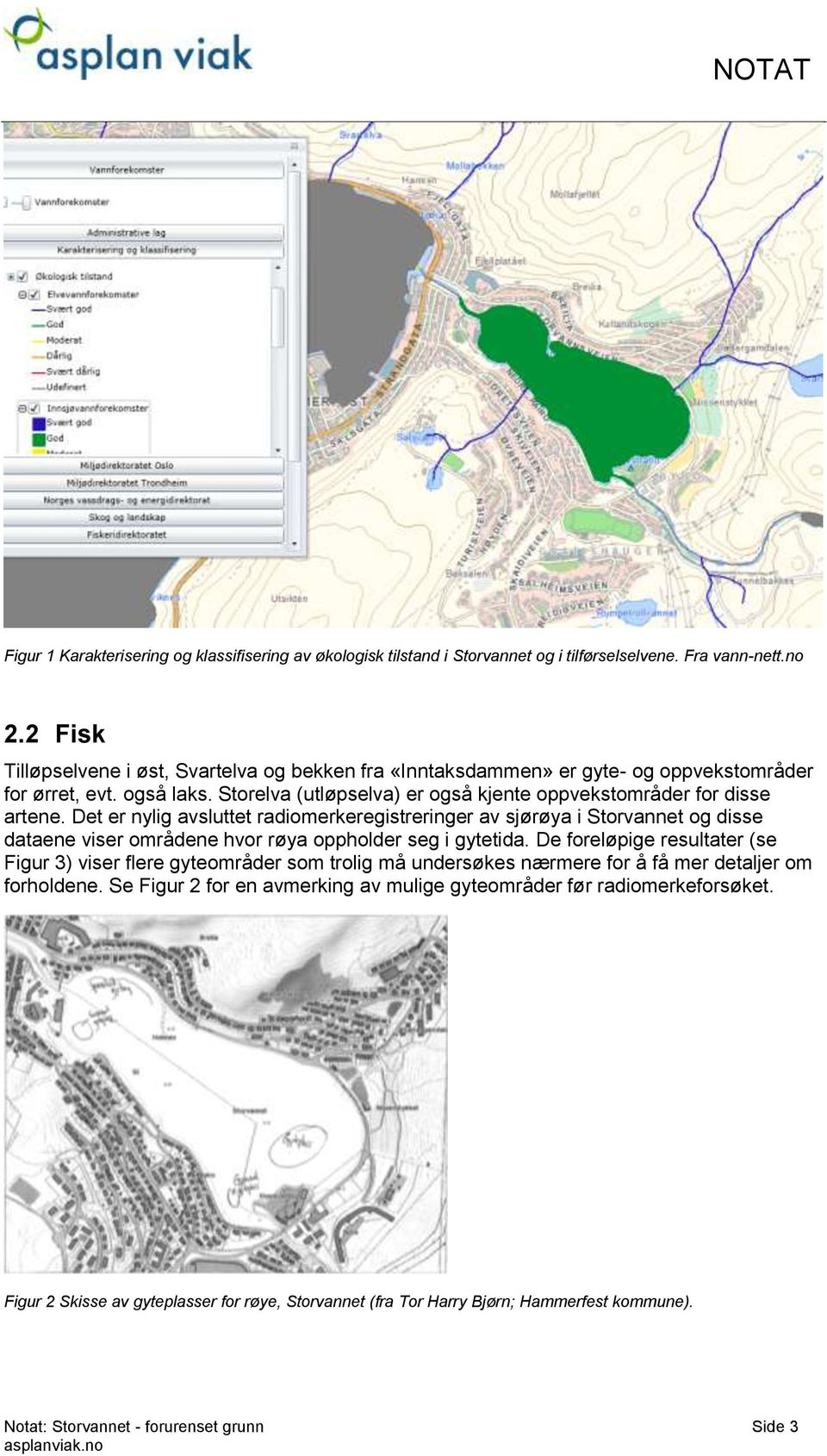 Det er nylig avsluttet radiomerkeregistreringer av sjørøya i Storvannet og disse dataene viser områdene hvor røya oppholder seg i gytetida.