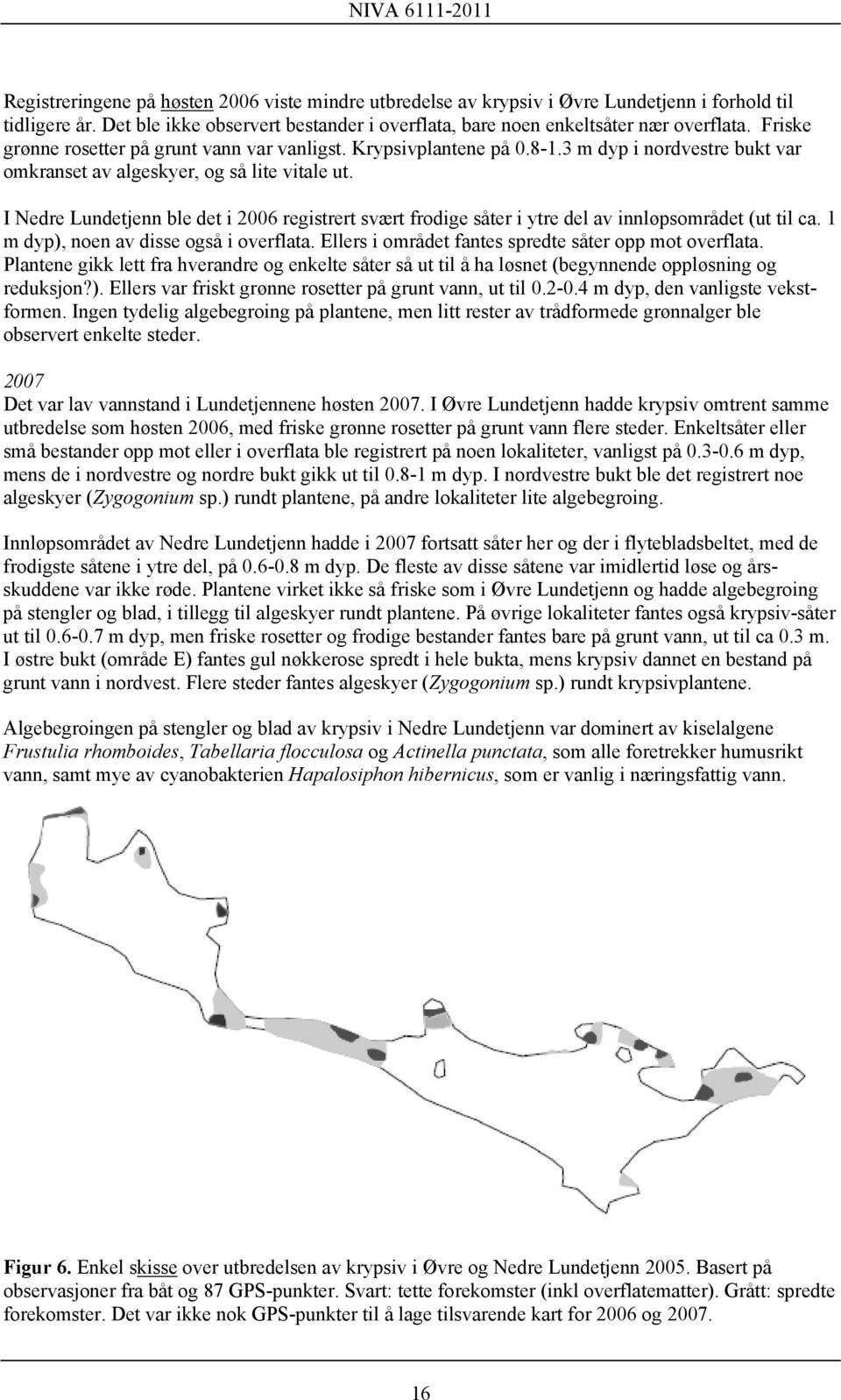 I Nedre Lundetjenn ble det i 2006 registrert svært frodige såter i ytre del av innløpsområdet (ut til ca. 1 m dyp), noen av disse også i overflata.