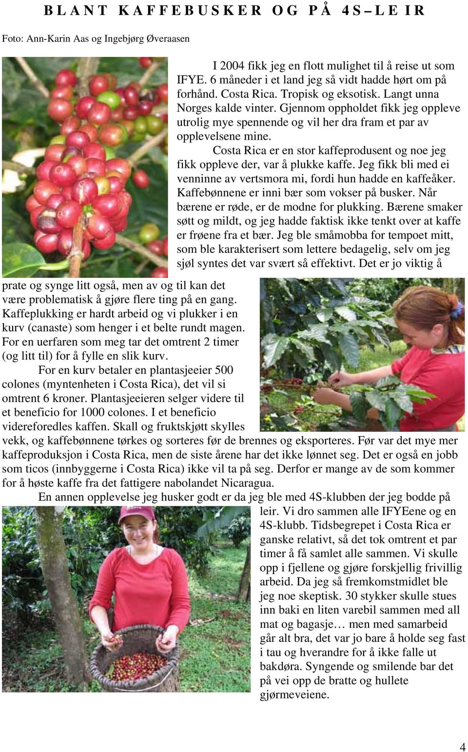 Gjennom oppholdet fikk jeg oppleve utrolig mye spennende og vil her dra fram et par av opplevelsene mine. Costa Rica er en stor kaffeprodusent og noe jeg fikk oppleve der, var å plukke kaffe.