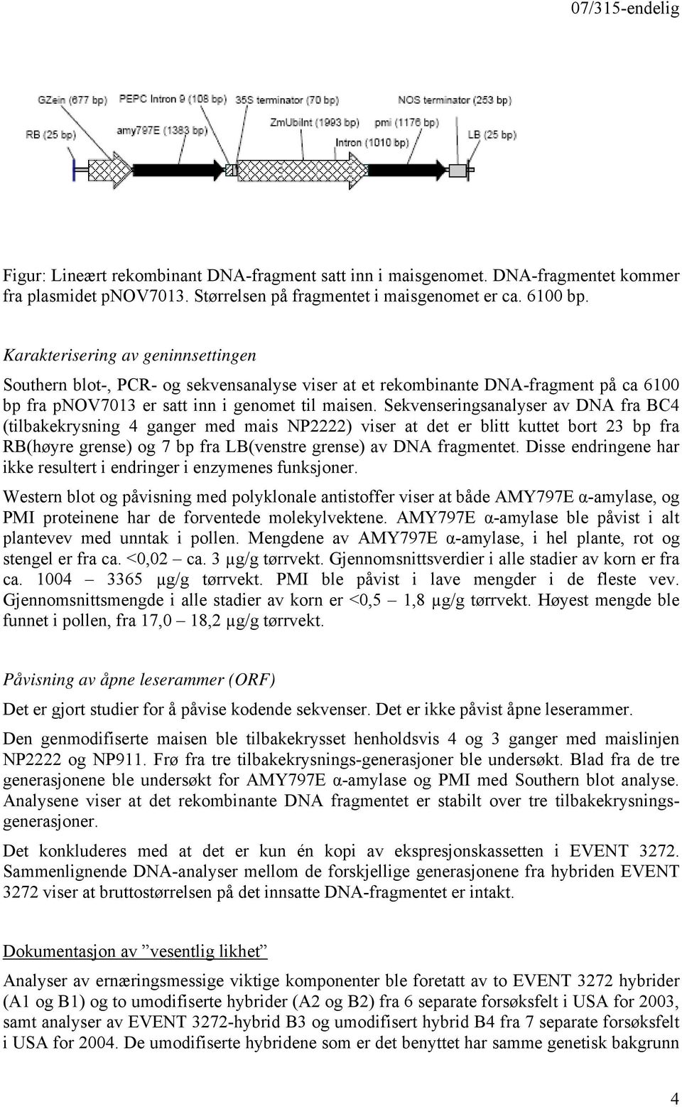 Sekvenseringsanalyser av DNA fra BC4 (tilbakekrysning 4 ganger med mais NP2222) viser at det er blitt kuttet bort 23 bp fra RB(høyre grense) og 7 bp fra LB(venstre grense) av DNA fragmentet.