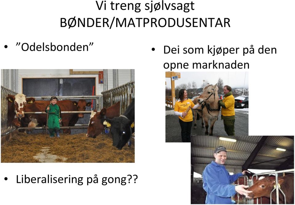 Odelsbonden Dei som kjøper