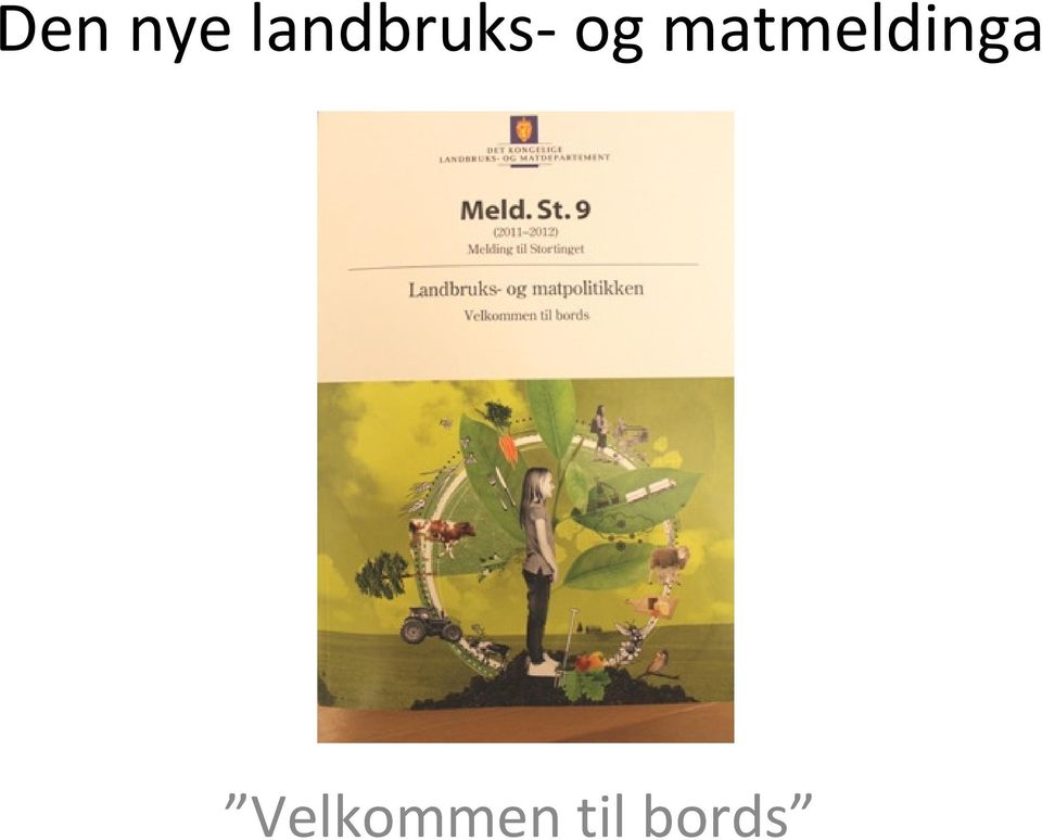 matmeldinga