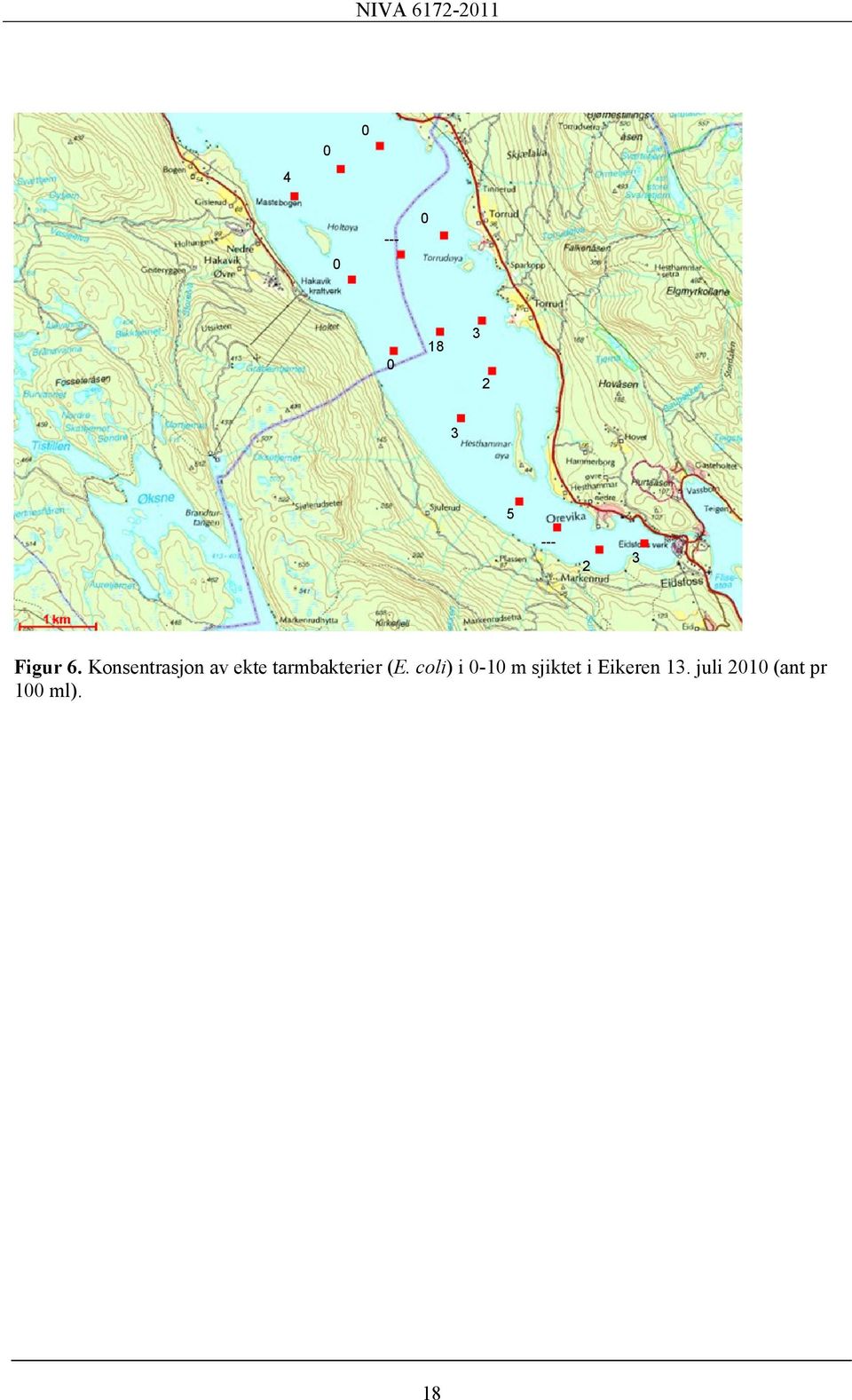 Konsentrasjon av ekte tarmbakterier