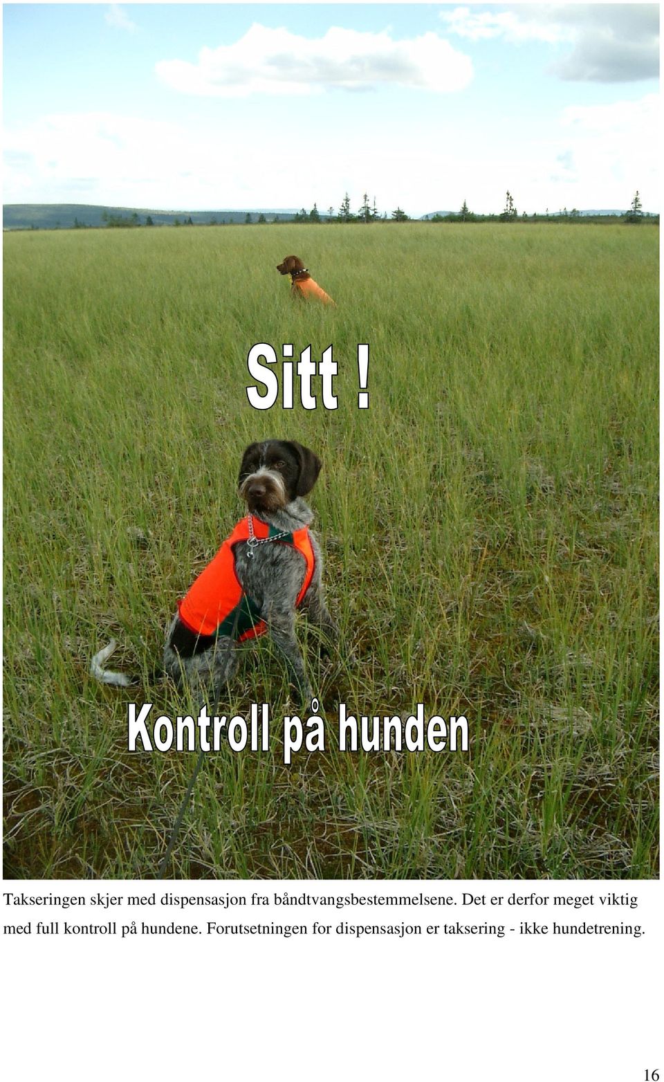 Det er derfor meget viktig med full kontroll på