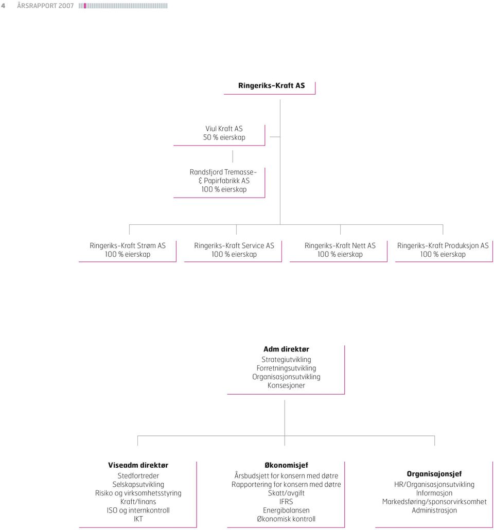 Organisasjonsutvikling Konsesjoner Viseadm direktør Stedfortreder Selskapsutvikling Risiko og virksomhetsstyring Kraft/finans ISO og internkontroll IKT Økonomisjef Årsbudsjett for