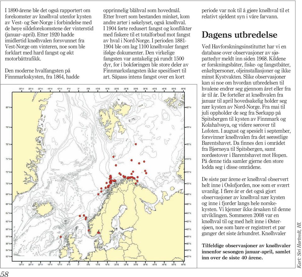 Den moderne hvalfangsten på Finnmarkskysten, fra 1864, hadde opprinnelig blåhval som hovedmål. Etter hvert som bestanden minket, kom andre arter i søkelyset, også knølhval.