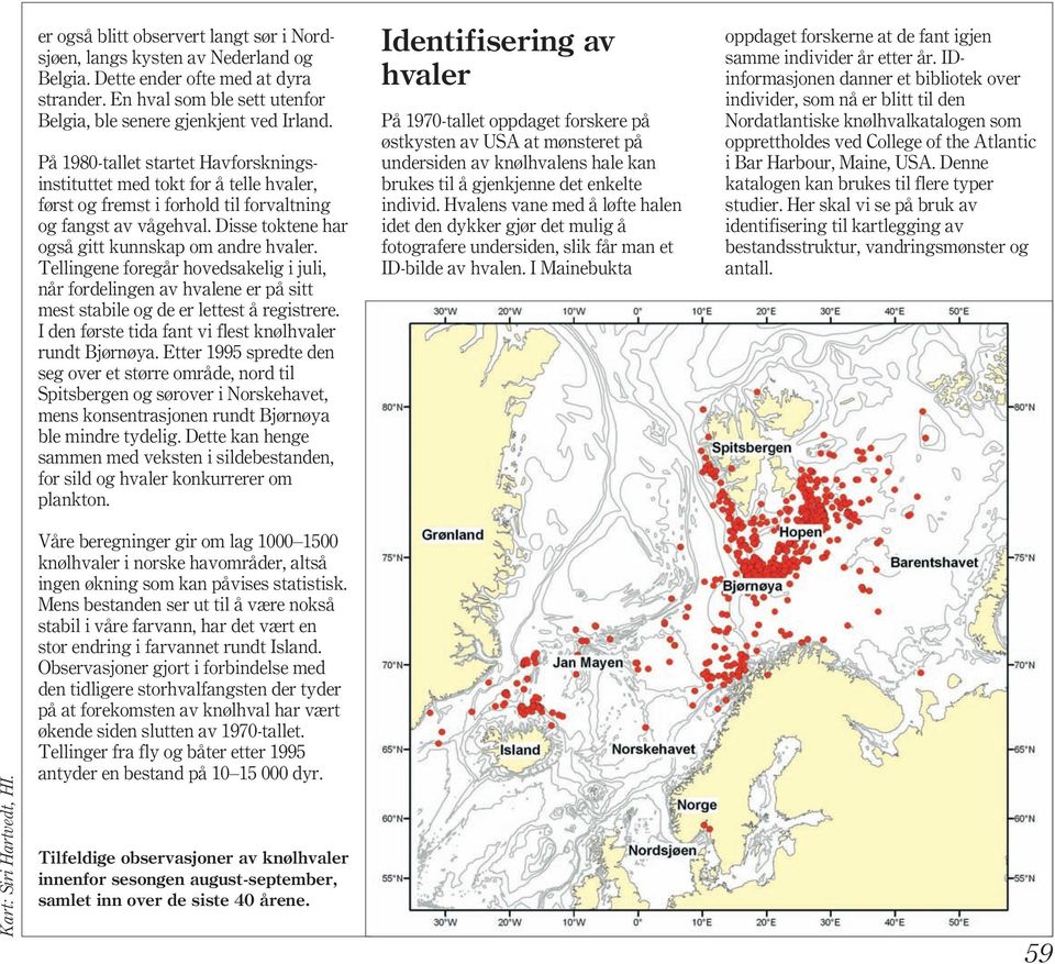 Tellingene foregår hovedsakelig i juli, når fordelingen av hvalene er på sitt mest stabile og de er lettest å registrere. I den første tida fant vi flest knølhvaler rundt Bjørnøya.