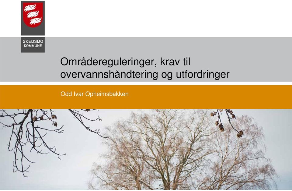 utfordringer Odd Ivar