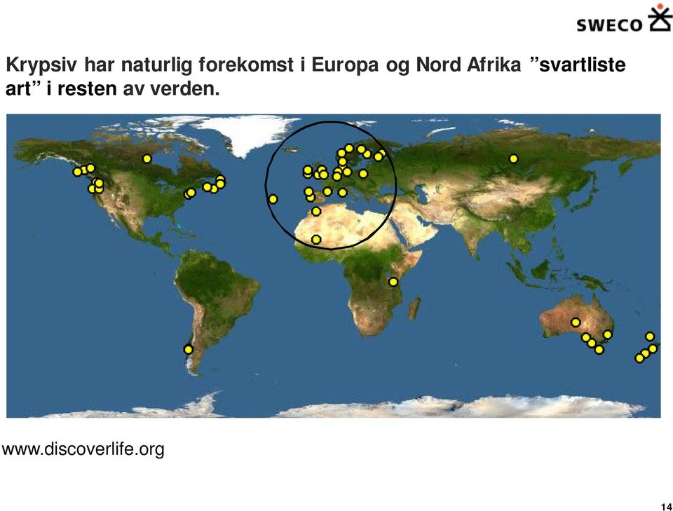 Afrika svartliste art i