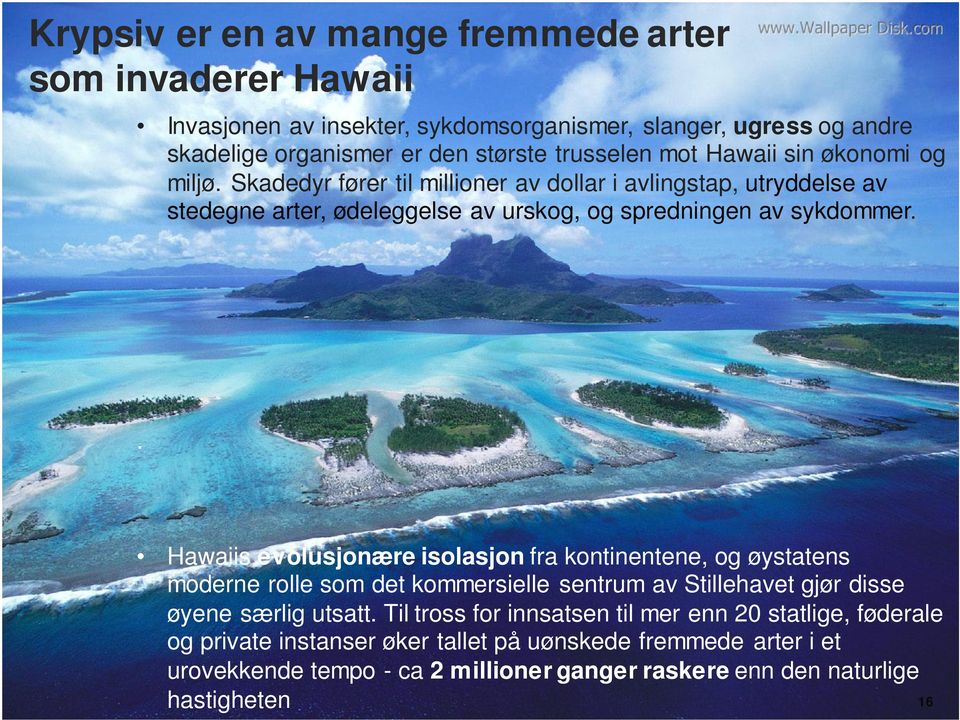 . Hawaiis evolusjonære isolasjon fra kontinentene, og øystatens moderne rolle som det kommersielle sentrum av Stillehavet gjør disse øyene særlig utsatt.