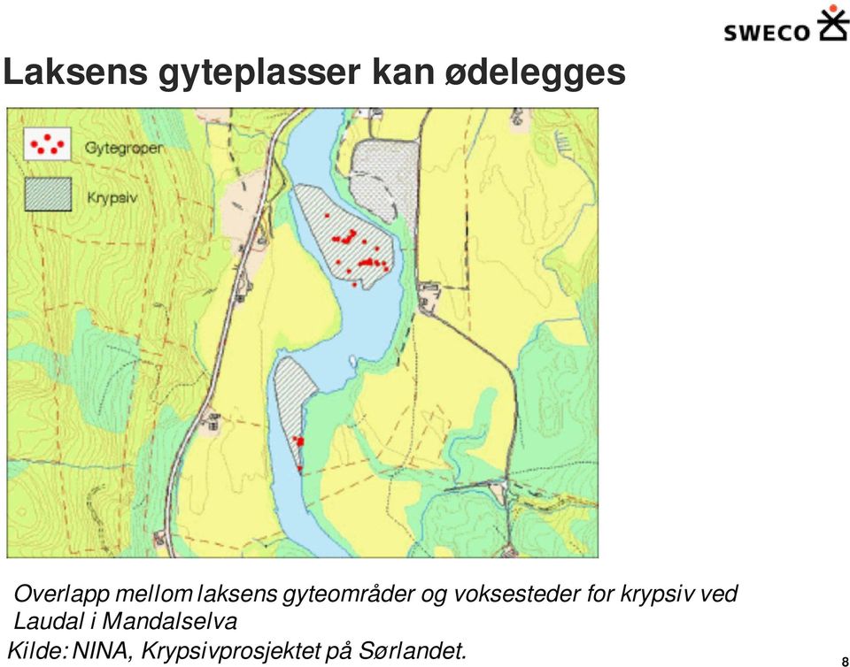 voksesteder for krypsiv ved Laudal i