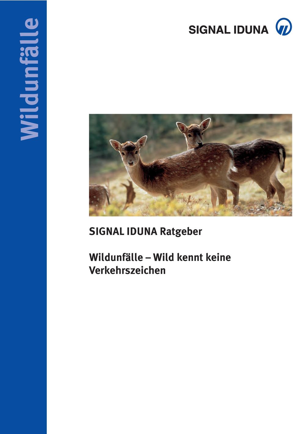 Wildunfälle Wild