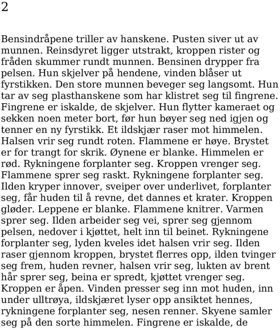 Hun flytter kameraet og sekken noen meter bort, før hun bøyer seg ned igjen og tenner en ny fyrstikk. Et ildskjær raser mot himmelen. Halsen vrir seg rundt roten. Flammene er høye.