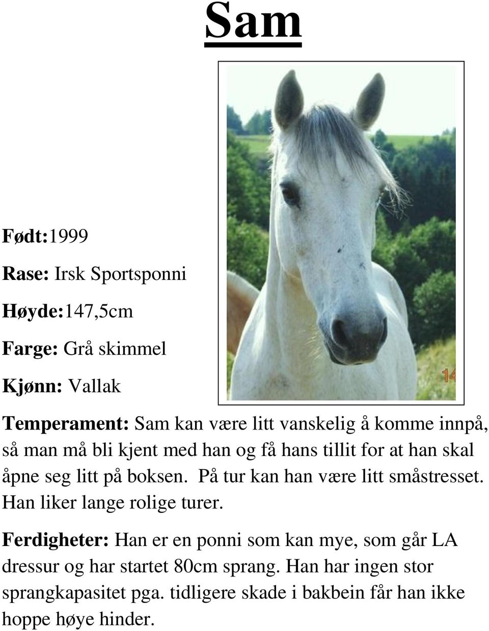 På tur kan han være litt småstresset. Han liker lange rolige turer.