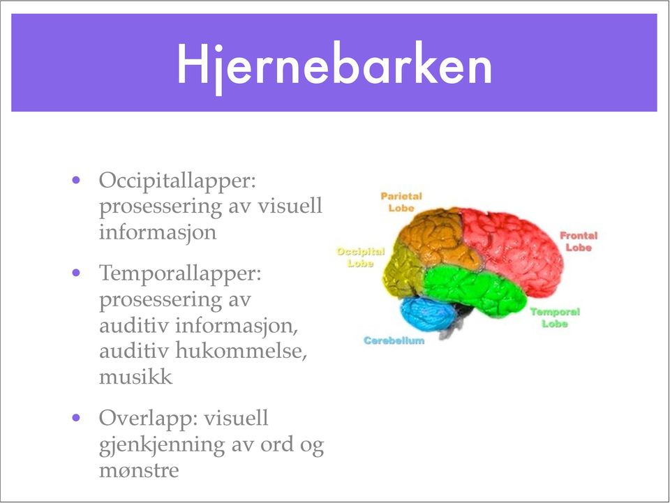 av auditiv informasjon, auditiv hukommelse,