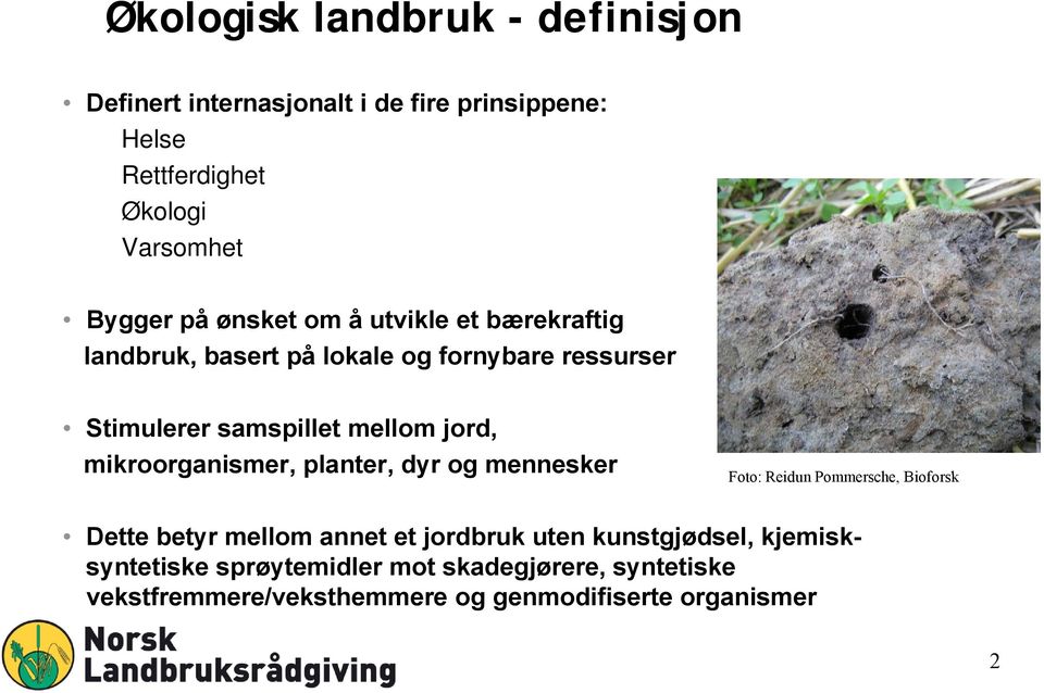 mellom jord, mikroorganismer, planter, dyr og mennesker Foto: Reidun Pommersche, Bioforsk Dette betyr mellom annet et jordbruk