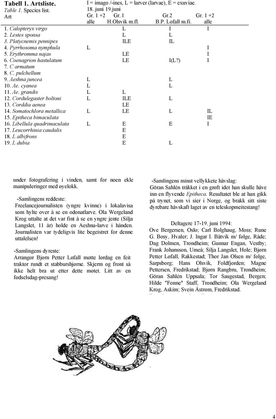 Aeshna juncea L L 10. Ae. cyanea L L 11. Ae. grandis L L 12. Cordulegaster boltoni L ILE L 13. Corddia aenea LE 14. SomatochIora metallica L LE L IL 15. Epitheca bimacuiata IE 16.