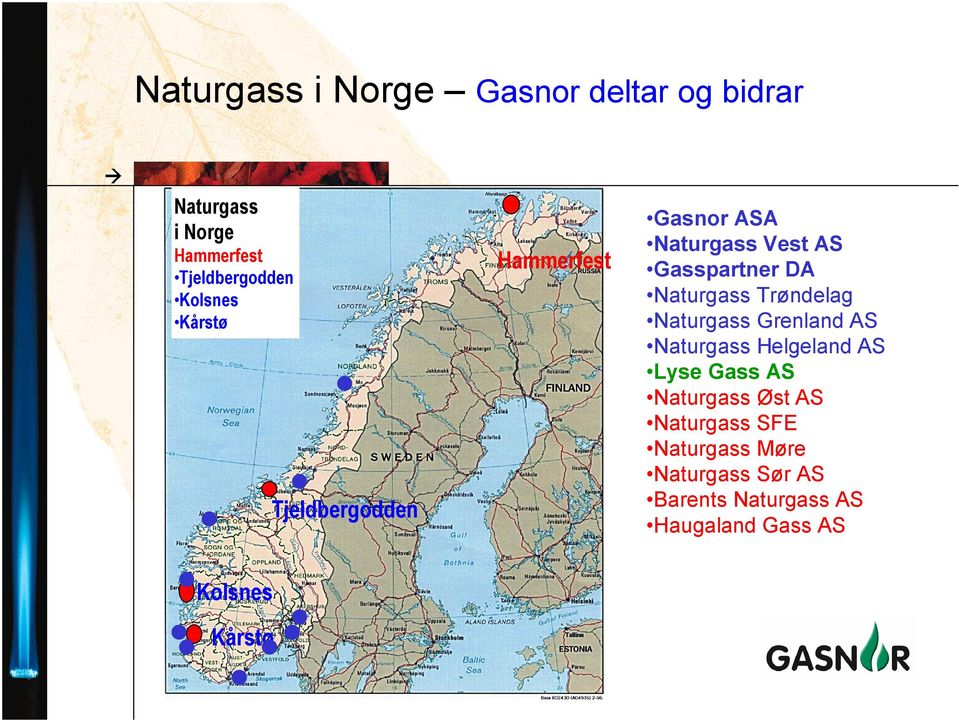 Naturgass Trøndelag Naturgass Grenland AS Naturgass Helgeland AS Lyse Gass AS Naturgass Øst