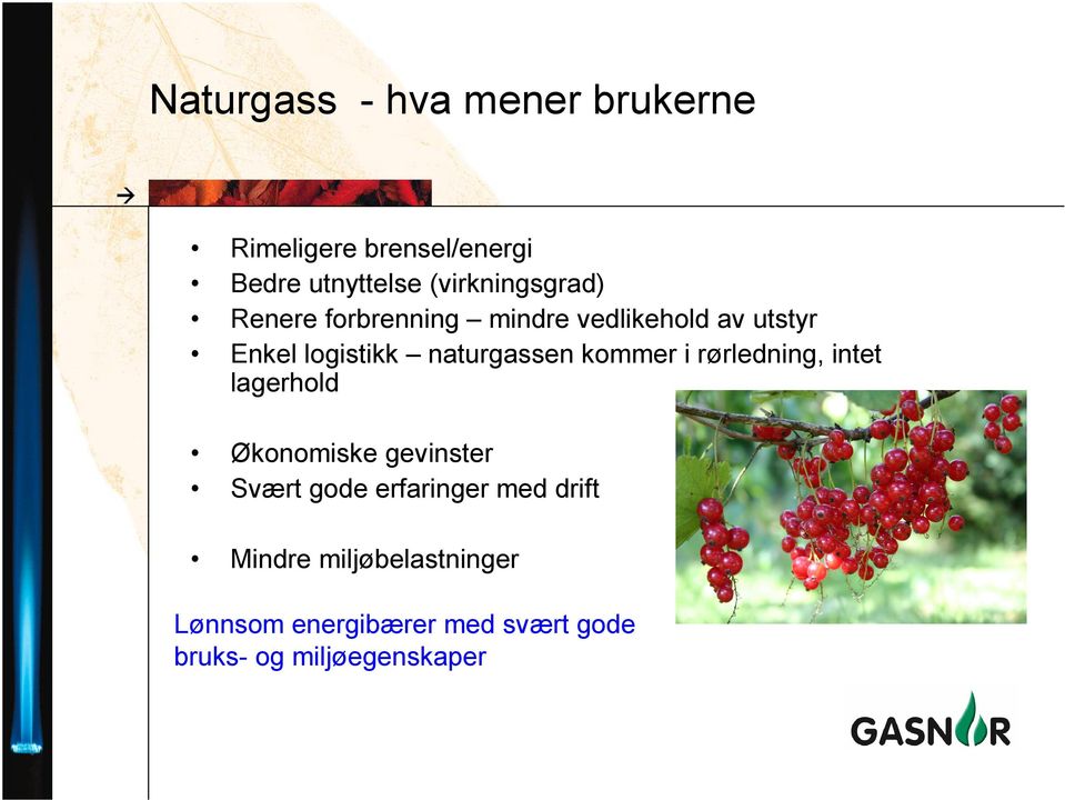 naturgassen kommer i rørledning, intet lagerhold Økonomiske gevinster Svært gode