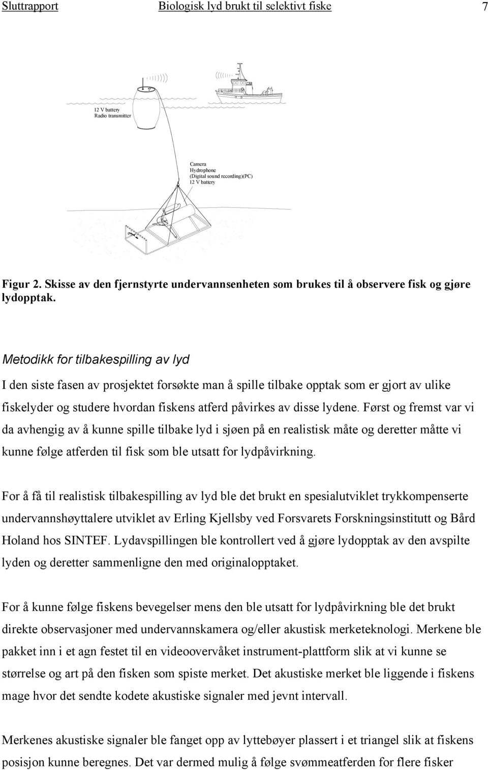 Metodikk for tilbakespilling av lyd I den siste fasen av prosjektet forsøkte man å spille tilbake opptak som er gjort av ulike fiskelyder og studere hvordan fiskens atferd påvirkes av disse lydene.