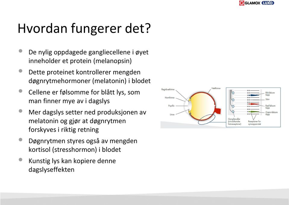 døgnrytmehormoner (melatonin) i blodet Cellene er følsomme for blått lys, som man finner mye av i dagslys Mer