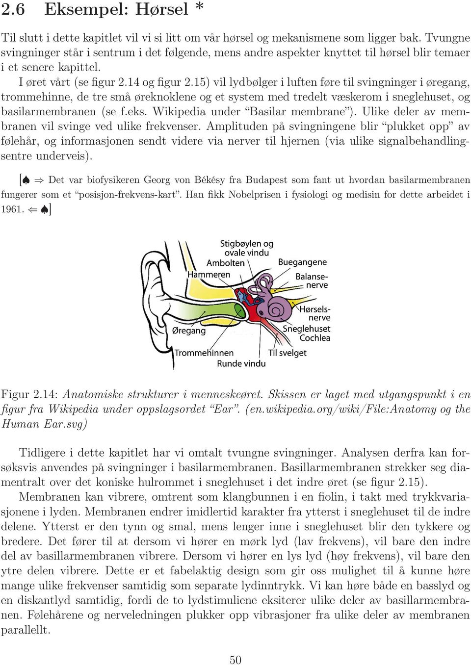 15) vil lydbølger i luften føre til svingninger i øregang, trommehinne, de tre små øreknoklene og et system med tredelt væskerom i sneglehuset, og basilarmembranen (se f.eks.