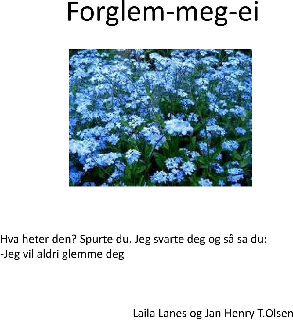 Jeg svarte deg og så sa du: Jeg